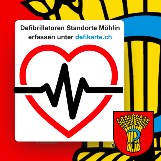 2024.12.06 Erfassung Defibrillator